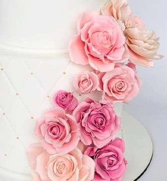 torta2